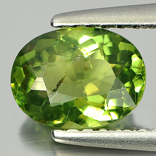 1.03 Ct. Oval Shape Natural Gem Green Apatite Unheated