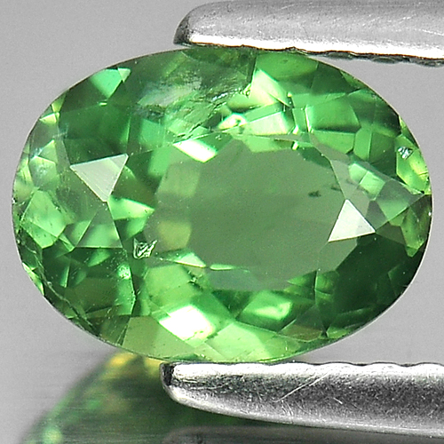 Unheated 1.23 Ct. Oval Shape Natural Gem Green Apatite