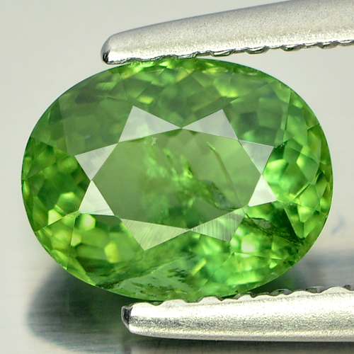 Unheated 1.24 Ct. Good Oval Shape Natural Green Apatite Gem