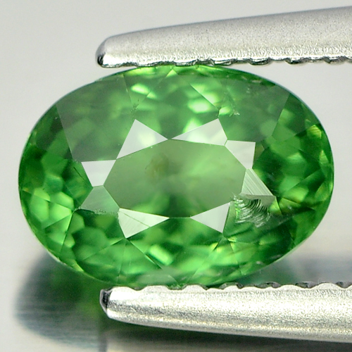 1.05 Ct. Oval Shape Natural Green Apatite Gem Unheated