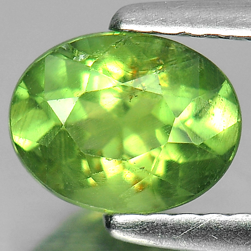 Unheated Natural Gem 1.02 Ct. Oval Shape Green Apatite