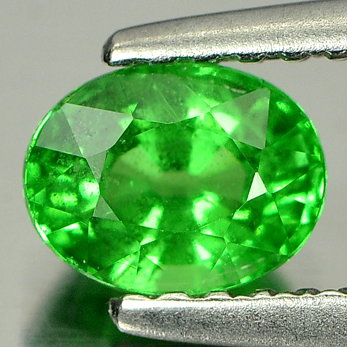 Green Tsavorite Garnet 0.79 Ct. Oval Shape Natural Gemstone Unheated Tanzania