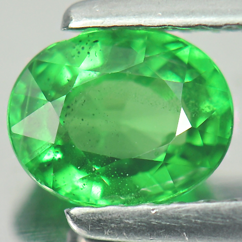 Green Tsavorite Garnet 0.82 Ct. Oval Shape 6.2 x 5 Mm. Natural Gemstone Unheated