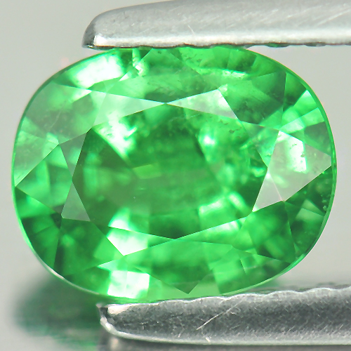 Green Tsavorite Garnet 1.20 Ct. Oval Shape 7.4 x 6 Mm. Natural Gemstone Unheated