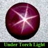 2.69 Ct. Round Cabochon Natural Star Ruby 6 Rays Gem