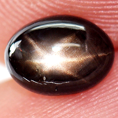 1.37 Ct. Oval Cab Natural Black Star Sapphire 6 Lays