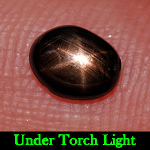 1.24 Ct. Oval Cab Natural Black Star Sapphire 6 Rays
