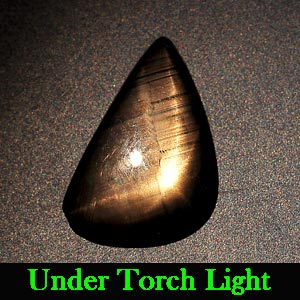 1.89 Ct. Fancy Cab Natural Black Star Sapphire 6 Rays