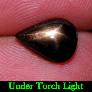 2.97 Ct. Pear Cab Natural Black Star Sapphire 6 Rays