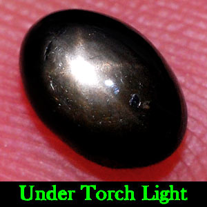 1.41 Ct. Oval Cab Natural Black Star Sapphire 6 Rays