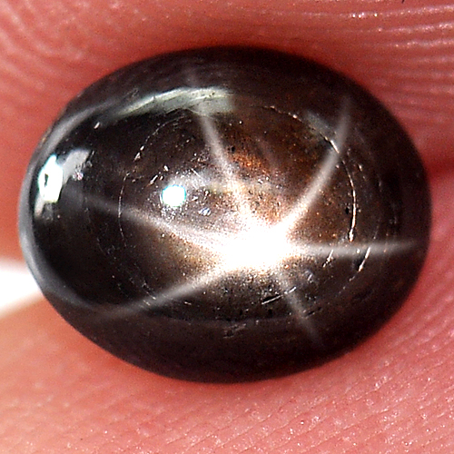1.25 Ct. Oval Cab Natural Black Star Sapphire 6 Rays