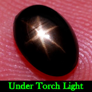 1.29 Ct. Oval Cabochon Natural Black Star Sapphire 6 Rays