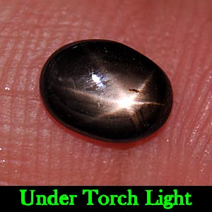 1.36 Ct. Oval Cab Natural Black Star Sapphire 6 Rays
