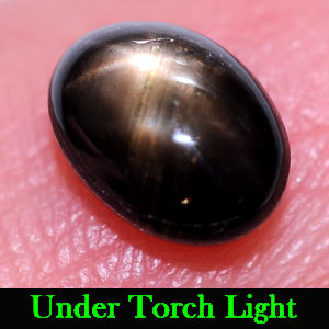 1.38 Ct. Oval Cab Natural Black Star Sapphire 6 Rays