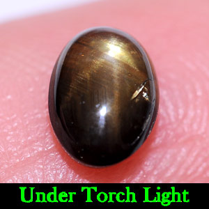 1.29 Ct. Oval Cab Natural Black Star Sapphire 6 Rays