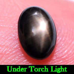 1.35 Ct. Oval Cabochon Natural Black Star Sapphire 6 Rays