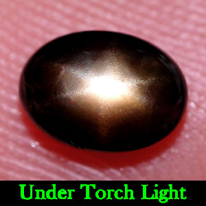 1.28 Ct. Oval Cabochon Natural Black Star Sapphire 6 Rays