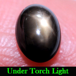 1.26 Ct. Oval Cabochon Natural Black Star Sapphire 6 Rays