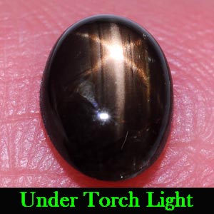 1.31 Ct. Oval Cab Natural Black Star Sapphire 6 Rays