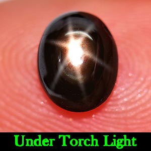 1.24 Ct. Attractive Natural Gemstone Black Star Sapphire 6 Rays Oval Cabochon