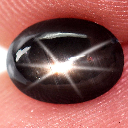 1.31 Ct. Oval Cabochon Natural Black 6 Rays Star Sapphire Gemstone