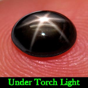1.26 Ct. Oval Cabochon Natural Gem 6 Rays Black Star Sapphire
