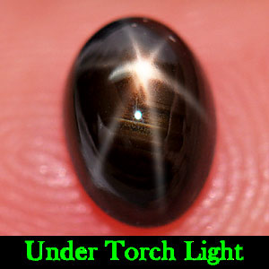 1.25 Ct. Oval Cabochon Natural Gemstone 6 Rays Black Star Sapphire