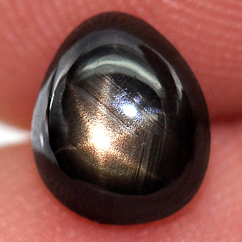 1.63 Ct. Natural Lucky 6 Ray Black Star Sapphire Gemstone Pear Cab