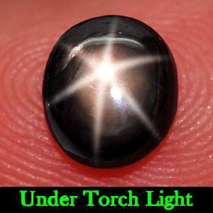 1.25 Ct. Oval Cabochon Natural Gemstone 6 Ray Black Star Sapphire