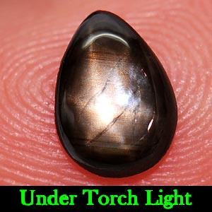 0.94 Ct. Natural Gem Lucky 6 Ray Black Star Sapphire Pear Cabochon