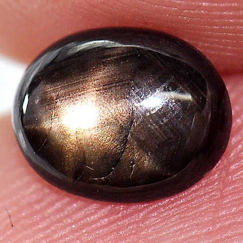 1.24 Ct. Oval Cabochon Natural Gemstone Lucky 6 Ray Black Star Sapphire