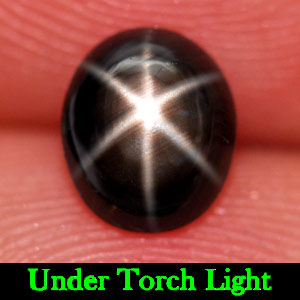 1.30 Ct. Natural 6 Ray Black Star Oval Cab Sapphire Gemstone