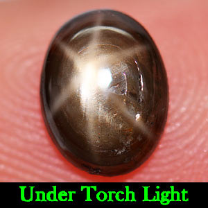 1.39 Ct. Natural 6 Ray Black Star Oval Cab Sapphire Gemstone