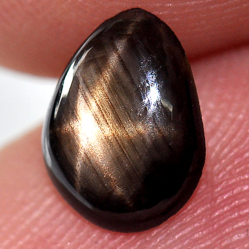 1.30 Ct. Natural Gemstone Lucky 6 Rays Black Star Sapphire Pear Cabochon