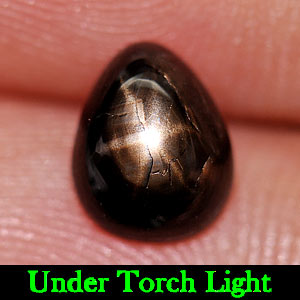 1.99 Ct. Natural Gemstone Lucky 6 Ray Black Star Sapphire Pear Cabochon