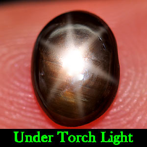 1.35 Ct. Natural 6 Ray Black Star Oval Cab Sapphire Gemstone