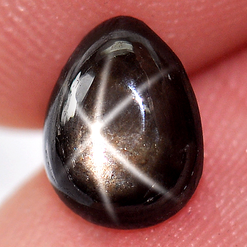 1.74 Ct. Natural Gemstone Lucky 6 Ray Black Star Sapphire Pear Cabochon
