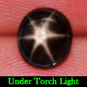 1.38 Ct. Natural Gemstone Black Star Sapphire 6 Rays Oval Cabochon