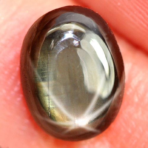 1.42 Ct. Natural 6 Ray Black Star Oval Cab Sapphire Gemstone