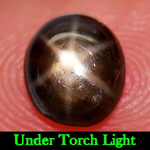 1.24 Ct. Oval Cabochon Natural Black Star Sapphire 6 Rays