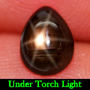 1.57 Ct. Pear Cab Natural Black Star Sapphire 6 Rays