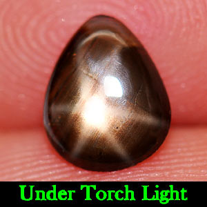 1.17 Ct. Pear Cab Natural Black Star Sapphire 6 Rays