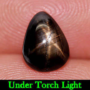 1.89 Ct. Natural Gem Lucky 6 Ray Black Star Sapphire Pear Cabochon