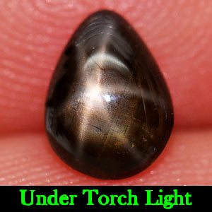 1.20 Ct.  Natural Gem Lucky 6 Ray Yellow Star Sapphire Pear Cabochon Unheated
