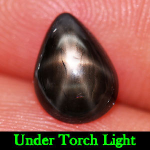 1.52 Ct. Natural Gem Lucky 6 Ray Black Star Sapphire Pear Cabochon
