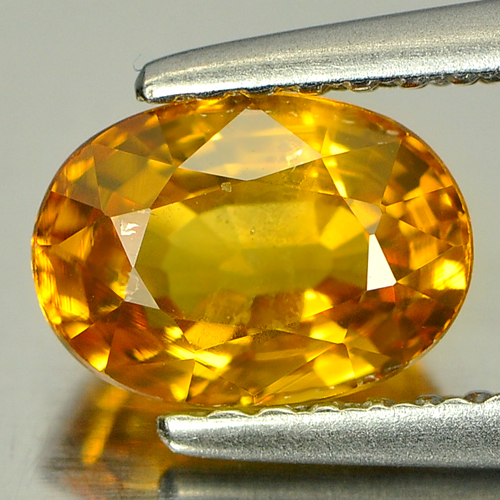 Yellow Sapphire 1.58 Ct. Oval Shape 7.4 x 5.3 Mm. Natural Gemstone Thailand