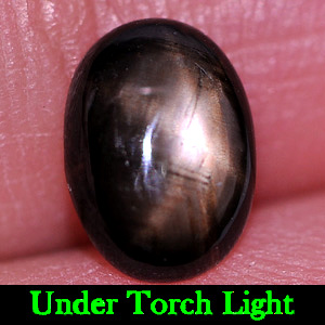 1.35 Ct. Oval Cabochon Natural Gem Black Star Sapphire 6 Rays From Thailand