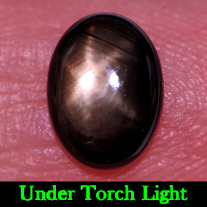 1.42 Ct. Natural Gemstone Oval Cabochon Black Star Sapphire 6 Rays Thailand