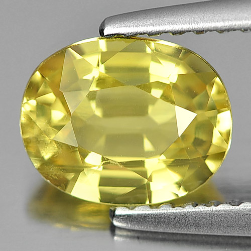 Yellow Sapphire 1.58 Ct. Oval Shape 7.8 x 6.2 Mm. Natural Gemstone Thailand