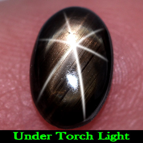 1.37 Ct. Nice Oval Cabochon Natural Gem Black Star Sapphire 6 Rays